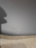 b44fde41-905c-4480-99fc-498b5b28c21e