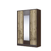 Шкаф-купе Орион (Венге/Дуб делано)